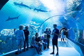 The National Aquarium Denmark