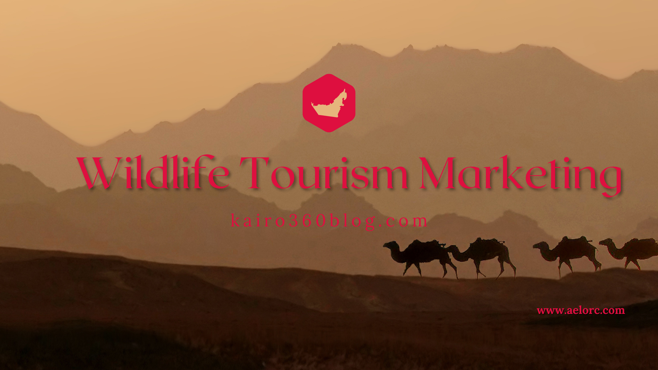 Wildlife Tourism Marketing